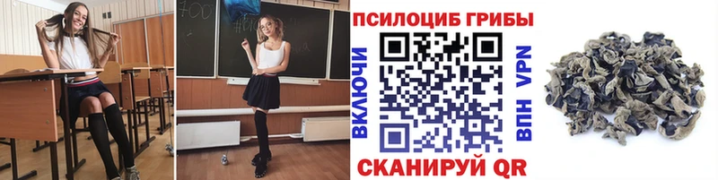 Галлюциногенные грибы GOLDEN TEACHER  Купить где  Лосино-Петровский 